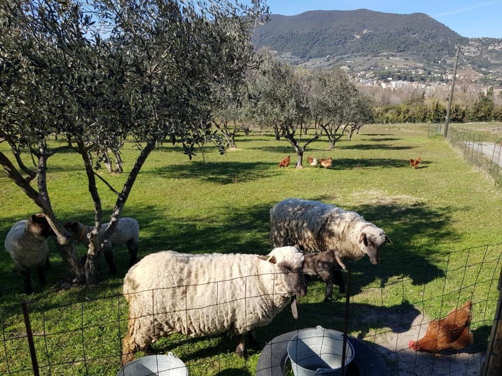 Ferienwohnung Studio En Campagne Dans Une Ferme Bio Nyons Exterior foto